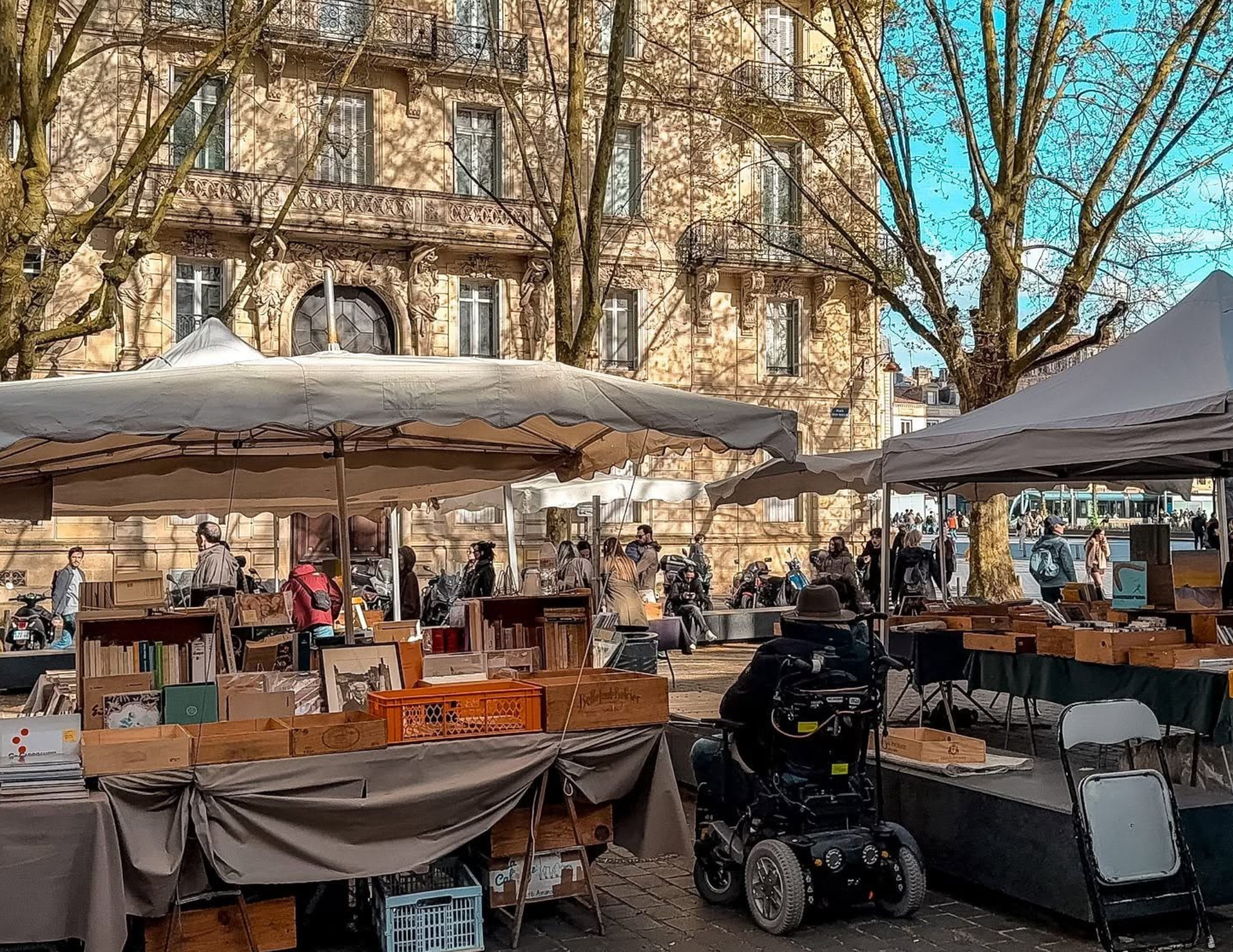 Bordeaux Travel Guide (3).png